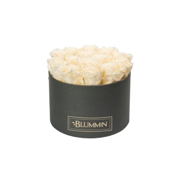 LARGE BLUMMiN - tumehall karp CHAMPAGNE roosidega-2.jpg
