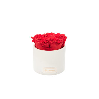 Untitled design-188.png