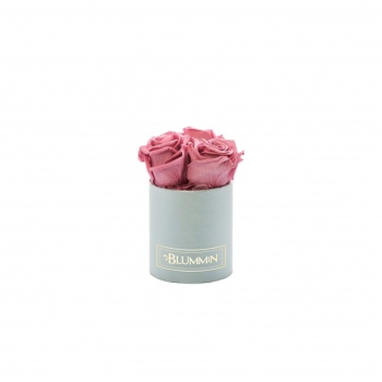 XS helehall karp VINTAGE PINK uinuvad roosid6.jpg