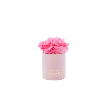 XS heleroosa karp BABY PINK magavad roosid-3.jpg