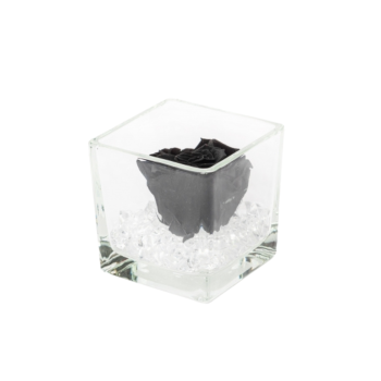 Untitled design-193.png