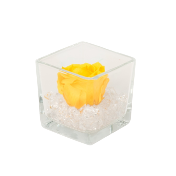 Untitled design-74-3.png