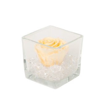 Untitled design-75-2.png