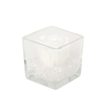 Untitled design-76-2.png