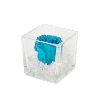 Untitled design-77-2.png