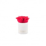 XS WHITE BOX WITH RED PRESERVED ROSES