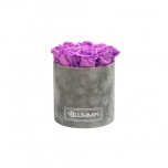MEDIUM LIGHT GREY VELVET BOX WITH VIOLET VAIN PRESERVED ROSES
