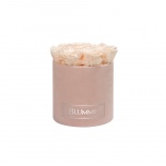 MEDIUM LIGHT PINK VELVET BOX WITH ICE PINK PRESERVED ROSES