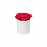 MIDI WHITE BOX WITH RED PRESERVED ROSES