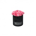 MIDI BLACK VELVET BOX WITH BABY PINK PRESERVED ROSES