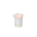 XS WHITE BOX WITH ICE PINK PRESERVED ROSES