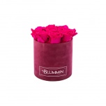 MEDIUM FUCHSIA VELVET BOX WITH HOT PINK PRESERVED ROSES