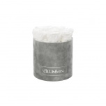 MEDIUM LIGHT GREY VELVET BOX WITH WHITE PRESERVED ROSES