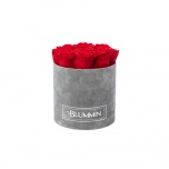 MEDIUM LIGHT GREY VELVET BOX WITH RED PRESERVED ROSES