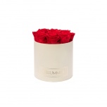 MEDIUM CREAM WHITE BOX WITH VIBRANT RED PRESERVED ROSES