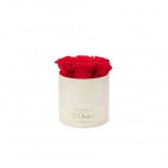 SMALL CREAM WHITE BOX WITH RED PRESERVED ROSES