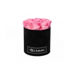 MEDIUM BLACK VELVET BOX WITH BABY PINK PRESERVED ROSES