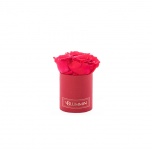 XS RED BOX WITH RED PRESERVED ROSES