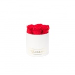 SMALL WHITE BOX WITH RED PRESERVED ROSES