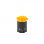 XS BLACK BOX WITH YELLOW PRESERVED ROSES