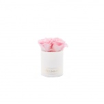 XS WHITE BOX WITH BRIDAL PINK PRESERVED ROSES