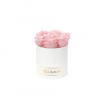 SMALL WHITE BOX WITH BRIDAL PINK PRESERVED ROSES
