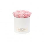MEDIUM WHITE BOX WITH BRIDAL PINK PRESERVED ROSES
