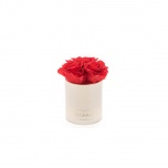 XS CREAMY BOX WITH RED PRESERVED ROSES