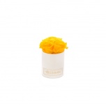 XS CREAM WHITE BOX WITH YELLOW PRESERVED ROSES