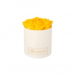 MEDIUM CREAM WHITE BOX WITH YELLOW PRESERVED ROSES