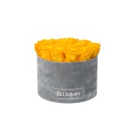 LARGE LIGHT GREY VELVET BOX WITH YELLOW PRESERVED ROSES