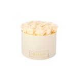 LARGE CREAM WHITE BOX WITH CHAMPAGNE PRESERVED ROSES