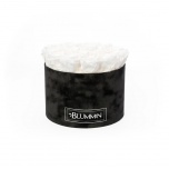 LARGE BLACK VELVET BOX WITH WHITE PRESERVED ROSES