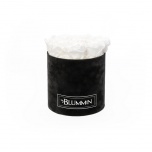 MEDIUM BLACK VELVET BOX WITH WHITE PRESERVED ROSES