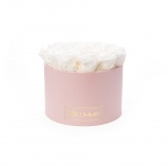 LARGE LIGHT PINK BOX WITH WHITE PRESERVED ROSES