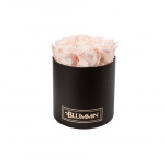 MEDIUM BLACK BOX WITH ICE PINK PRESERVED ROSES