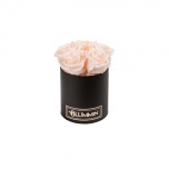 MIDI BLACK BOX WITH ICE PINK PRESERVED ROSES