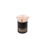 XS BLACK BOX WITH ICE PINK PRESERVED ROSES
