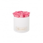 MEDIUM WHITE BOX WITH BABY PINK PRESERVED ROSES