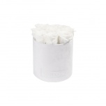 MEDIUM WHITE VELVET BOX WITH WHITE PRESERVED ROSES