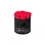 MEDIUM BLACK VELVET BOX WITH RED PRESERVED ROSES
