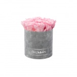 MEDIUM LIGHT GREY VELVET BOX WITH BRIDAL PINK PRESERVED ROSES