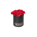 MIDI BLACK BOX WITH RED PRESERVED ROSES