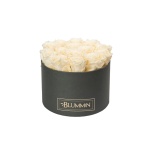 LARGE DARK GREY BOX WITH CHAMPAGNE PRESERVED ROSES