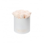 MEDIUM WHITE BOX WITH ICE PINK PRESERVED ROSES