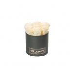 SMALL DARK GREY BOX WITH CHAMPAGNE PRESERVED ROSES