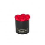 SMALL BLACK BOX WITH RED PRESERVED ROSES