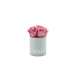 XS LIGHT GREY BOX WITH VINTAGE PINK PRESERVED ROSES