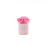XS LIGHT PINK BOX WITH BABY PINK PRESERVED ROSES