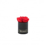 XS BLACK BOX WITH RED PRESERVED ROSES